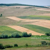 Dealurile Târnavelor şi Valea Nirajului