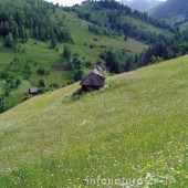 Grădiştea Muncelului - Cioclovina