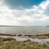Lacul Techirghiol