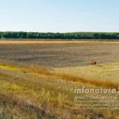 Măxineni
